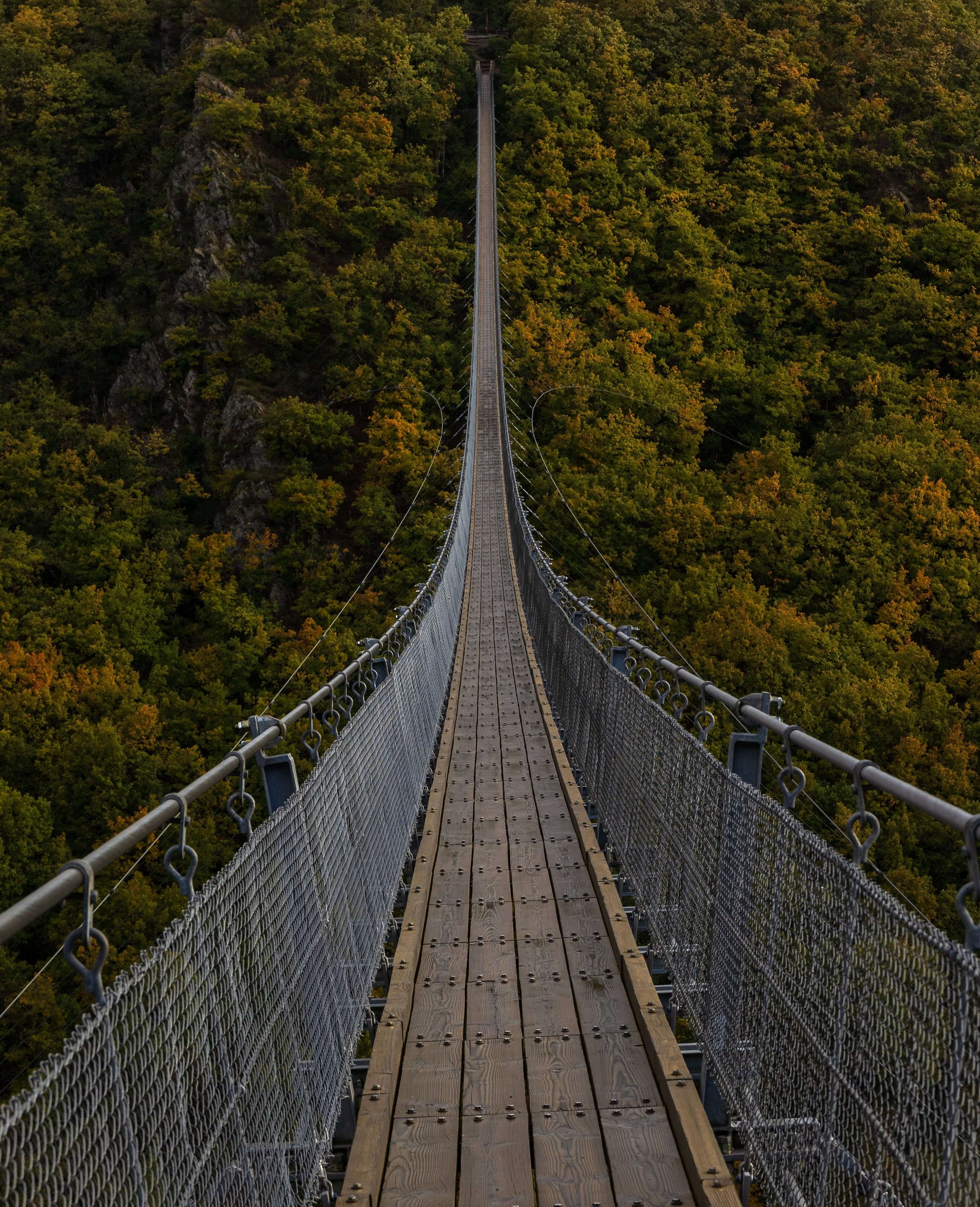 Image of Long Bridge